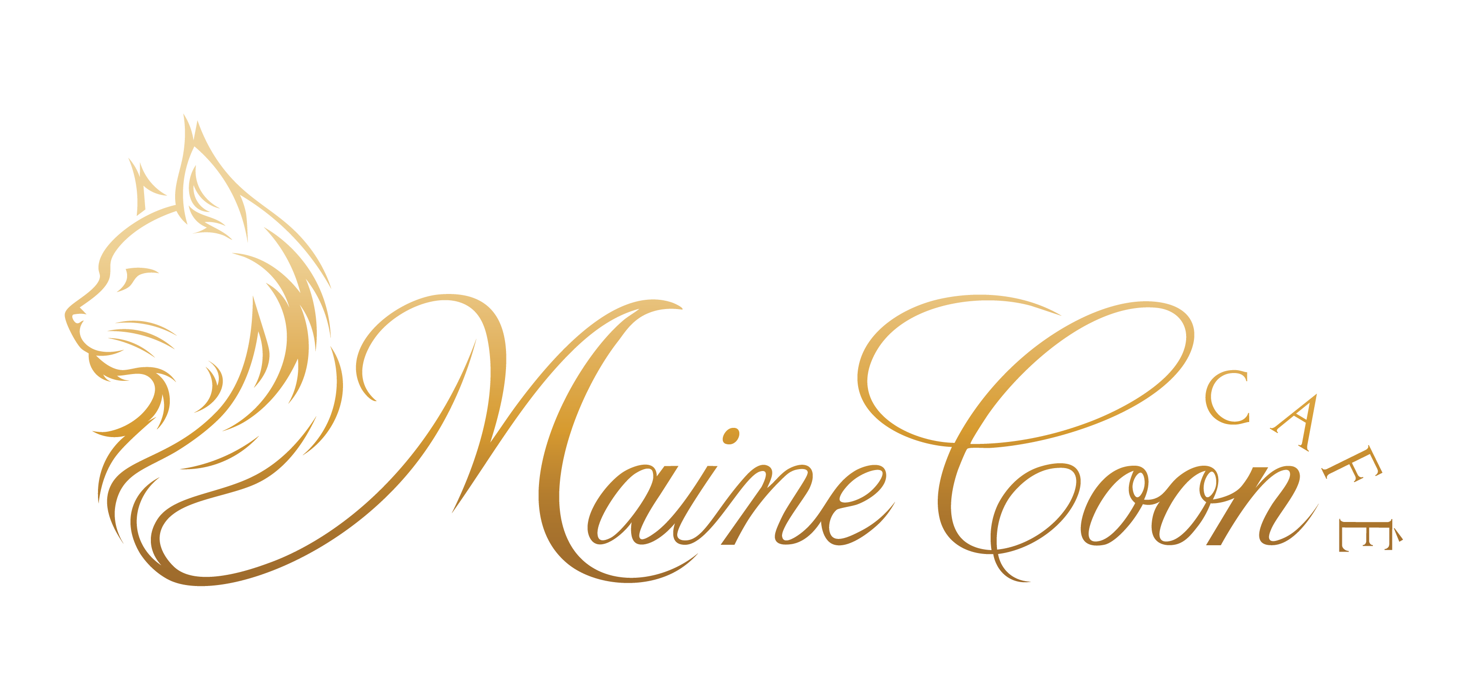 Maine Coon Café
